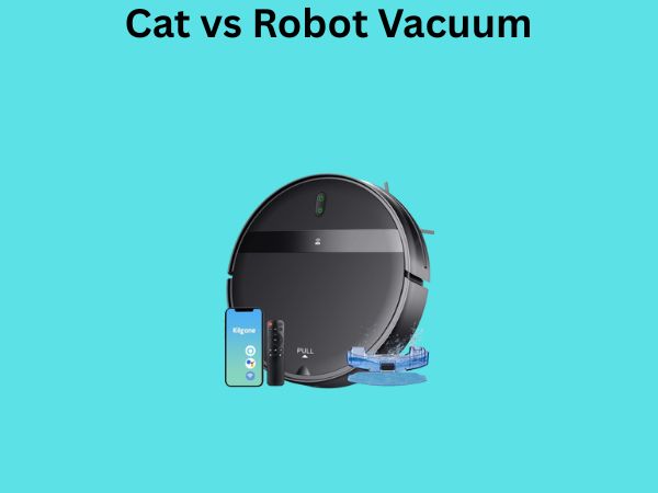 Cat vs Robot Vacuum