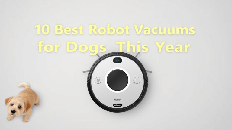 10 Best Robot Vacuums for Dogs This Year